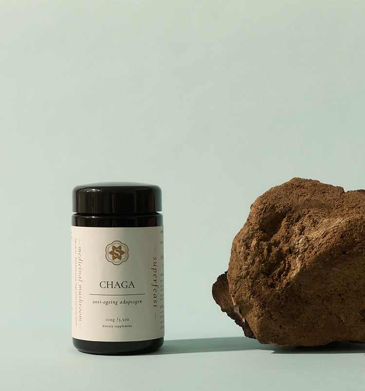 5 Reasons We Love Chaga Mushroom