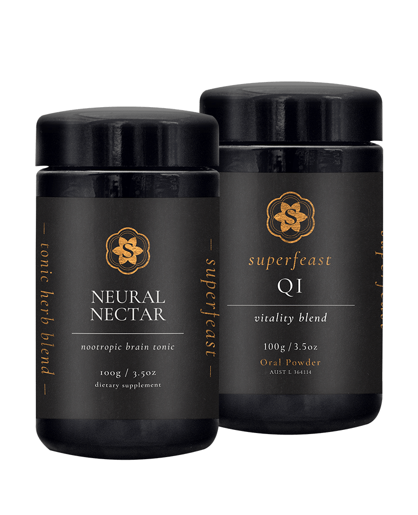 Brain Gains Bundle