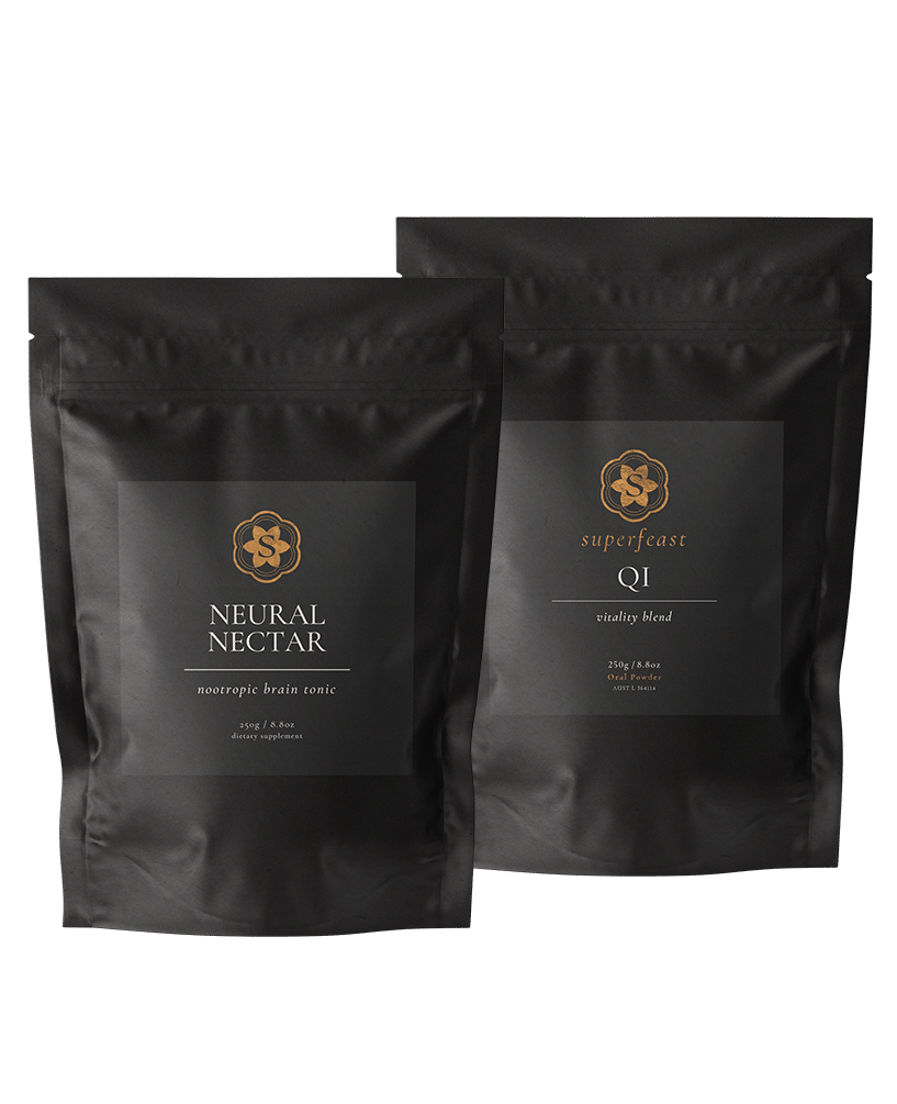 Brain Gains Bundle