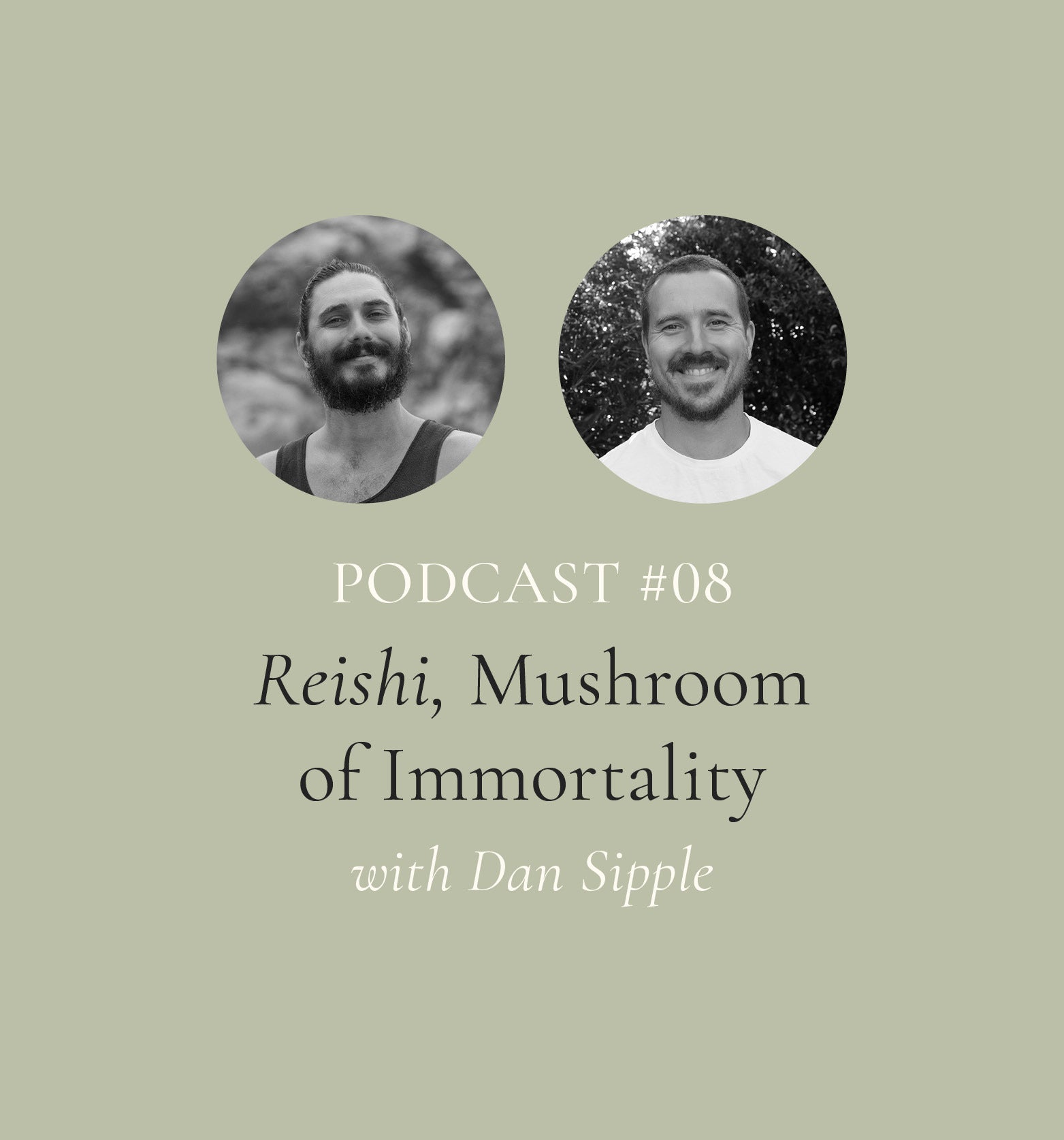 Reishi, Mushroom of Immortality with Dan Sipple (EP#8)