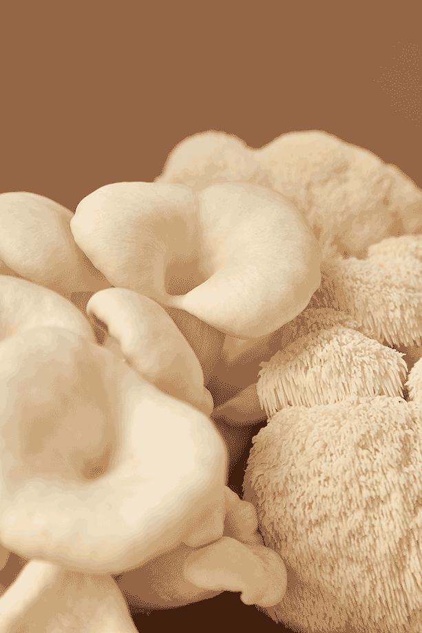 Your Top FAQs Answered