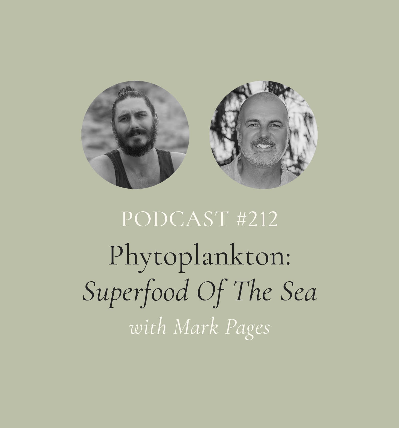 SuperFeast Podcast Episode #212 Design Tile