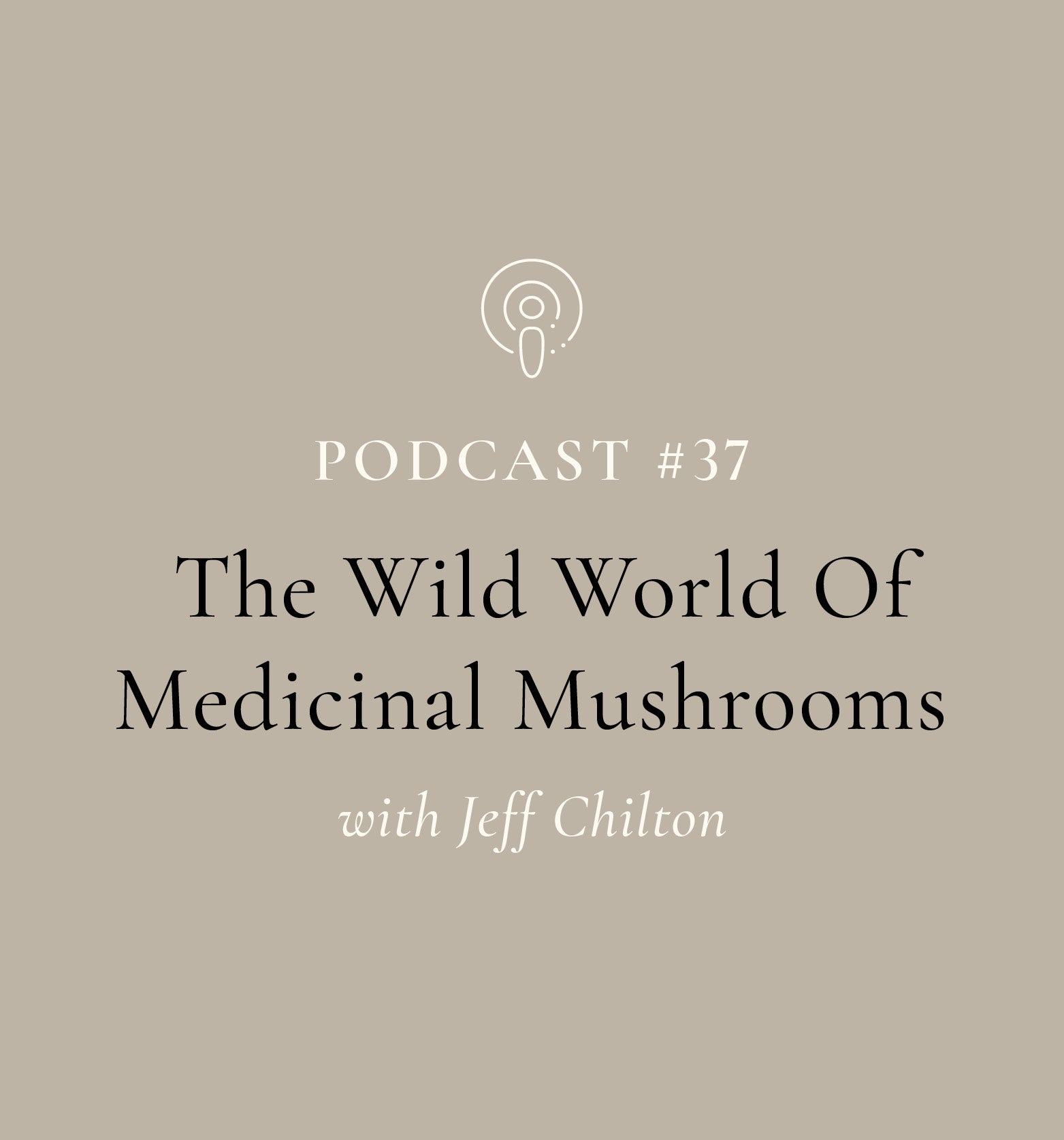 The Wild World Of Medicinal Mushrooms with Jeff Chilton (EP#37)