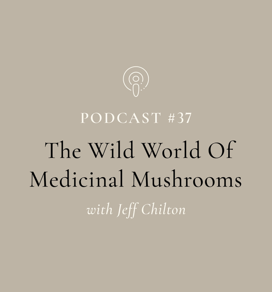 The Wild World Of Medicinal Mushrooms with Jeff Chilton (EP#37)