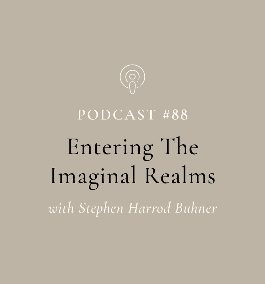 Entering The Imaginal Realms with Stephen Harrod Buhner (EP#88)