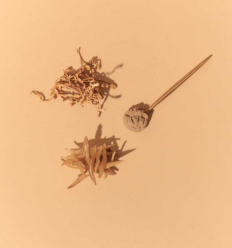 How To Start Working With Adaptogens & Tonic Herbs