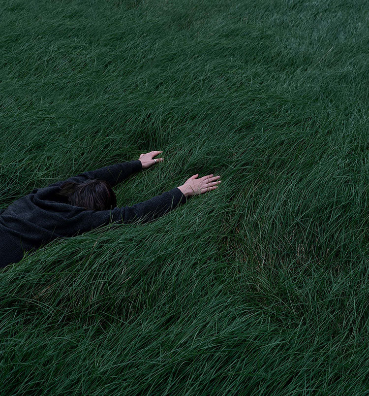 Can Reishi Mushroom Help With Allergies?