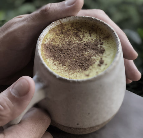 Anti-inflammatory Reishi Pumpkin Spice Latte
