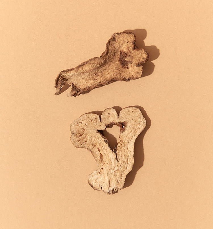 Herb Spotlight - White Atractylodes 白术