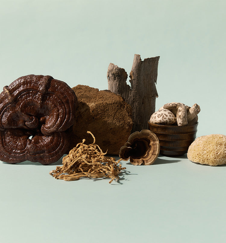 What Are Beta-Glucans & How Do They Activate The Immune System?