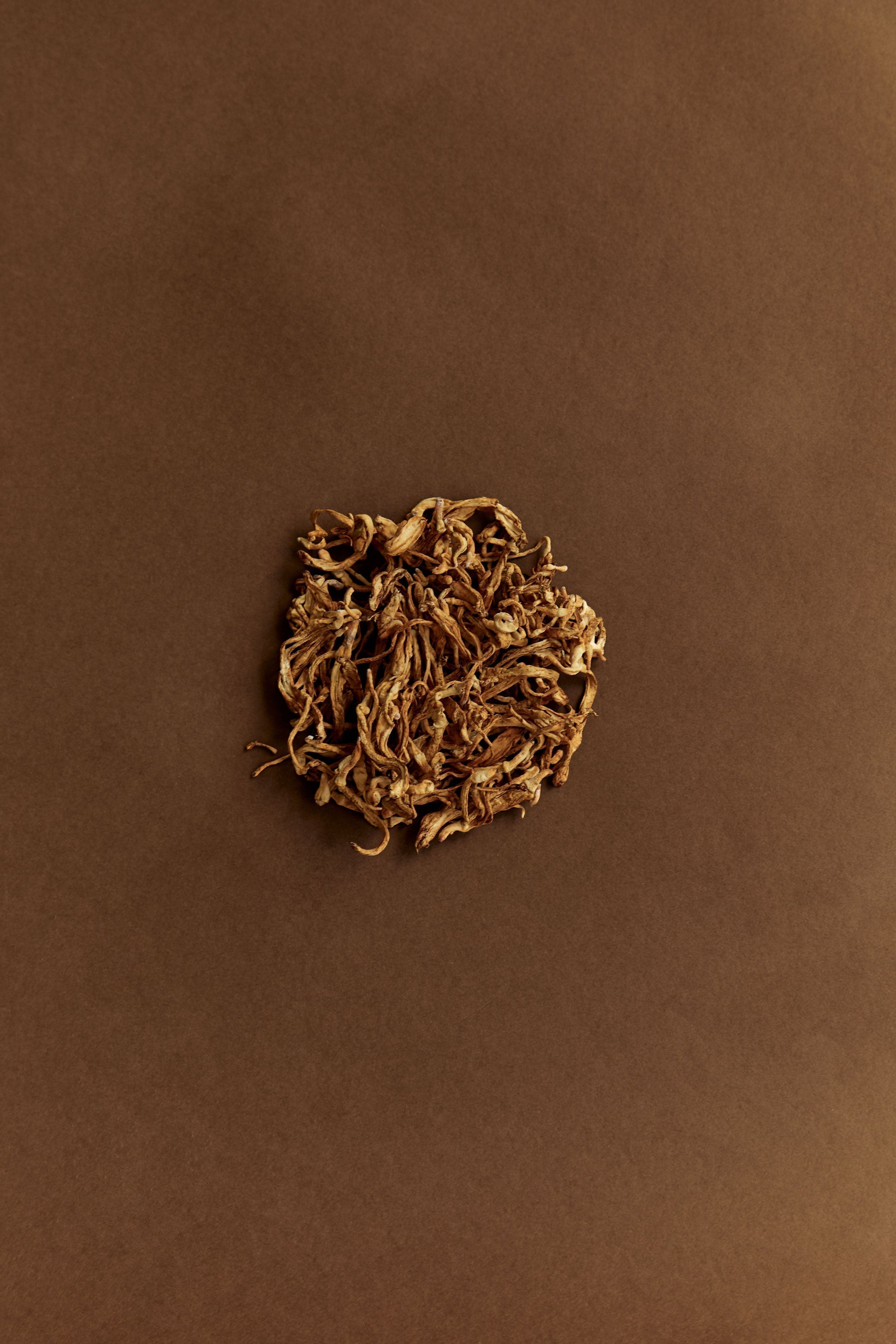 Why We Use Cordyceps CS-4 - And Why It's the Right Decision