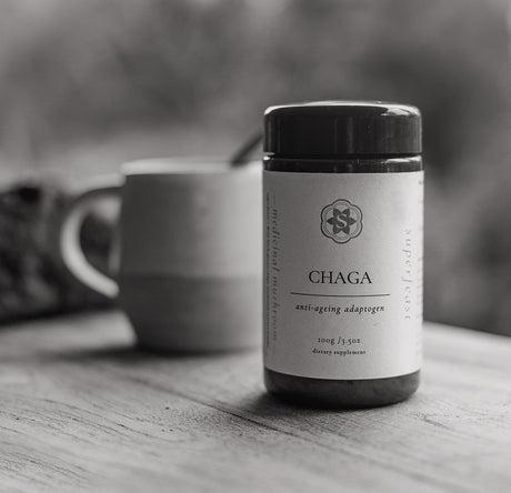 Chaga Mushroom Miso Recipe: Immune-Boosting Powerhouse!
