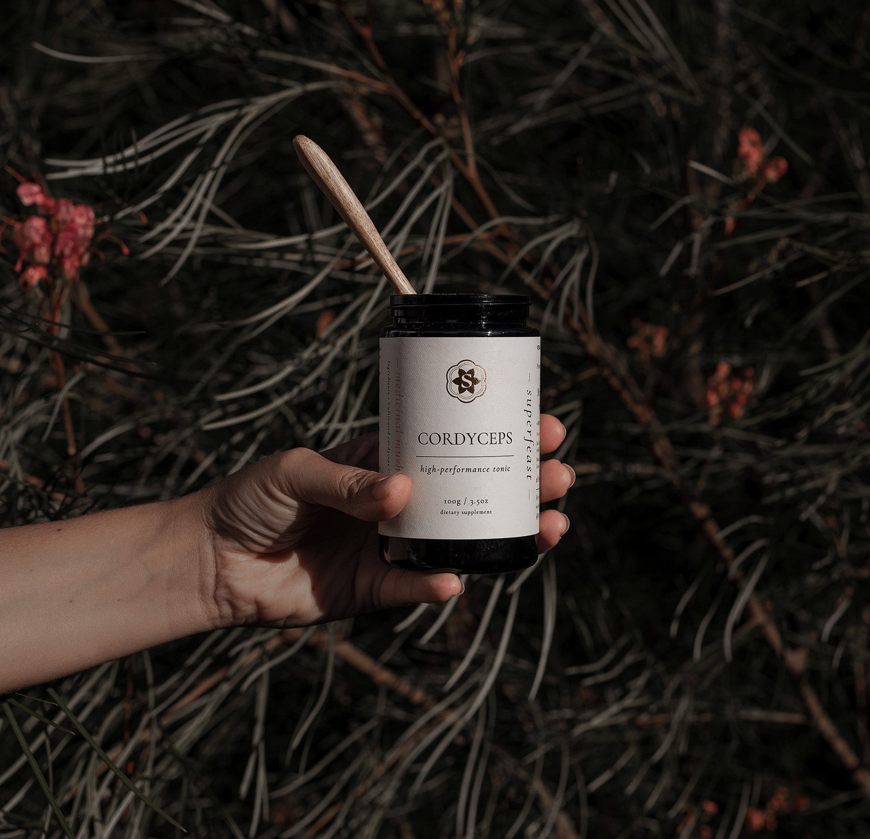 The Codger's Cuppa - Cordyceps Tea