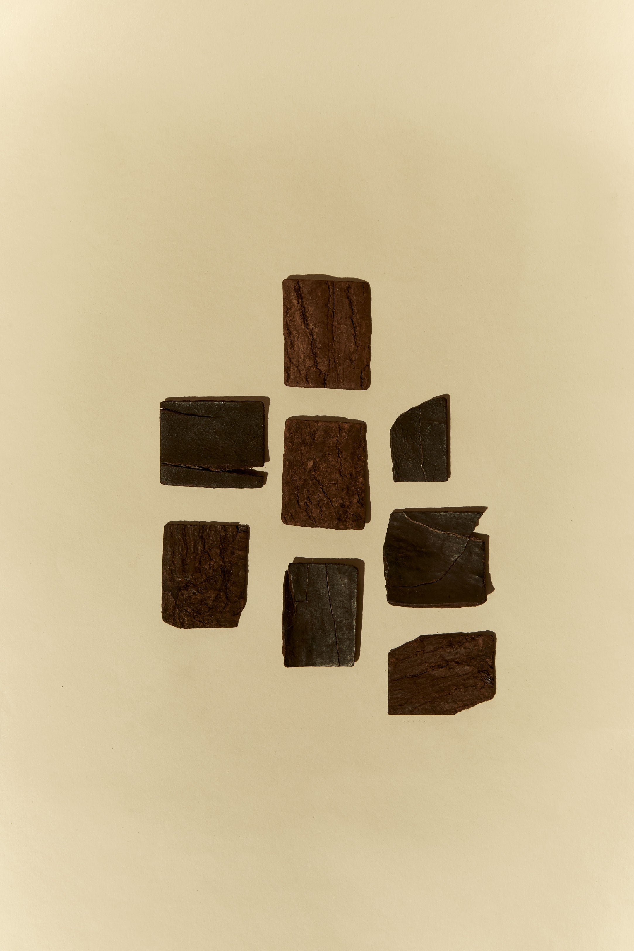 My Plant Ally - Eucommia Bark (Du Zhong)