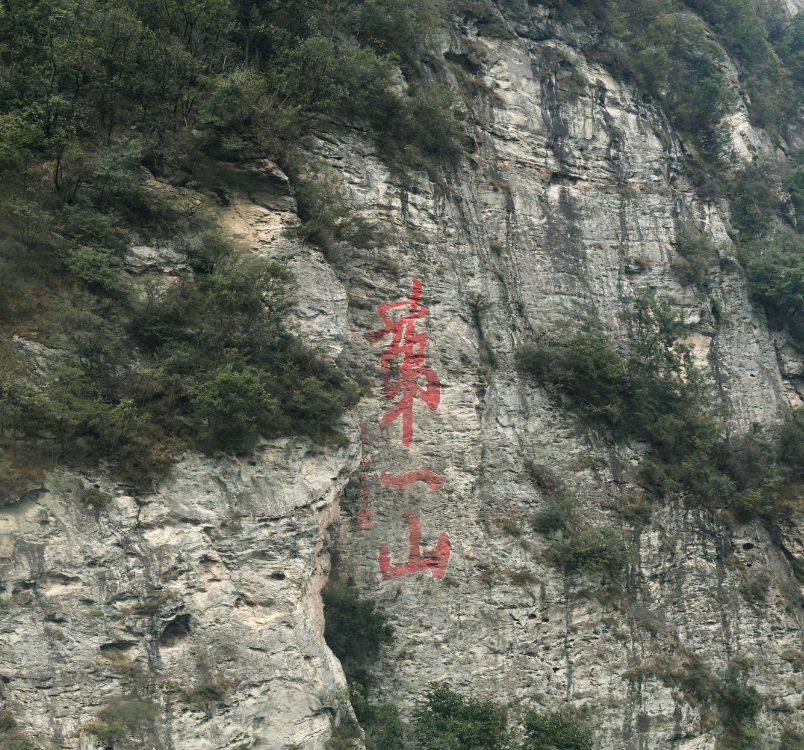 Fu Zheng Therapy: Strengthen Zheng Qi & Terrain | SuperFeast