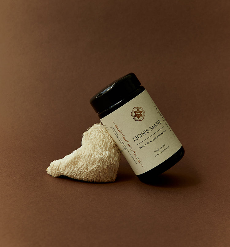 Why We Don’t Dual-Extract Our Lion’s Mane