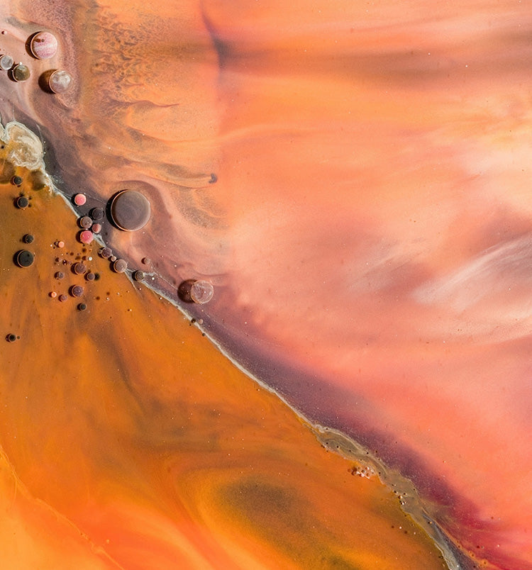 Through The Taoist Lens: The Liver & Gallbladder