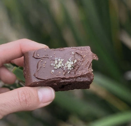 Raw Reishi Chocolate
