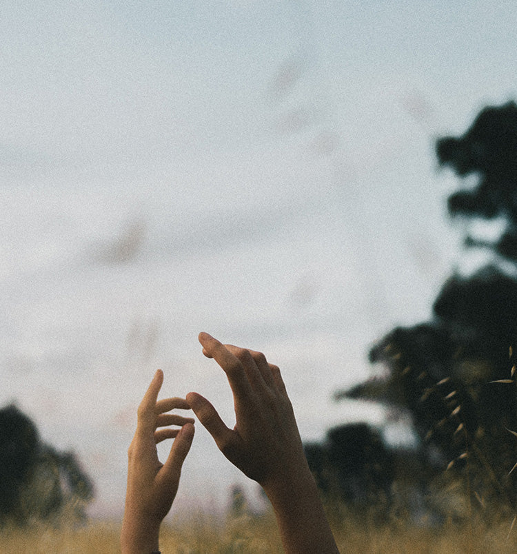 Must-Have Herbs for Spring