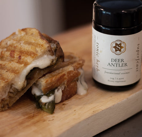 Toastie Deerest - Melted Cheese Toastie!