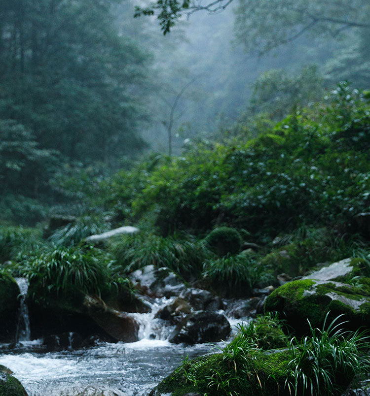 Dì Dào (地道); Why The Water We Use Is Consciously Chosen