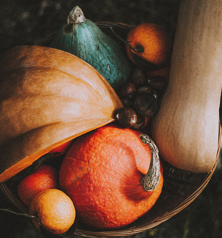 Foods & Eating Habits To Nourish Yourself During Autumn