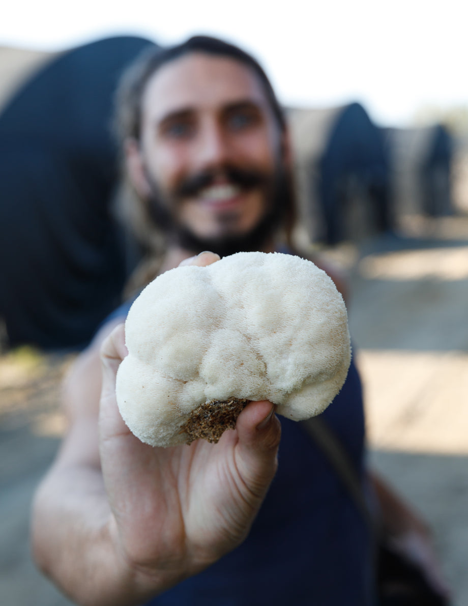 Lion's Mane Farm - SuperFeast Adventures in China