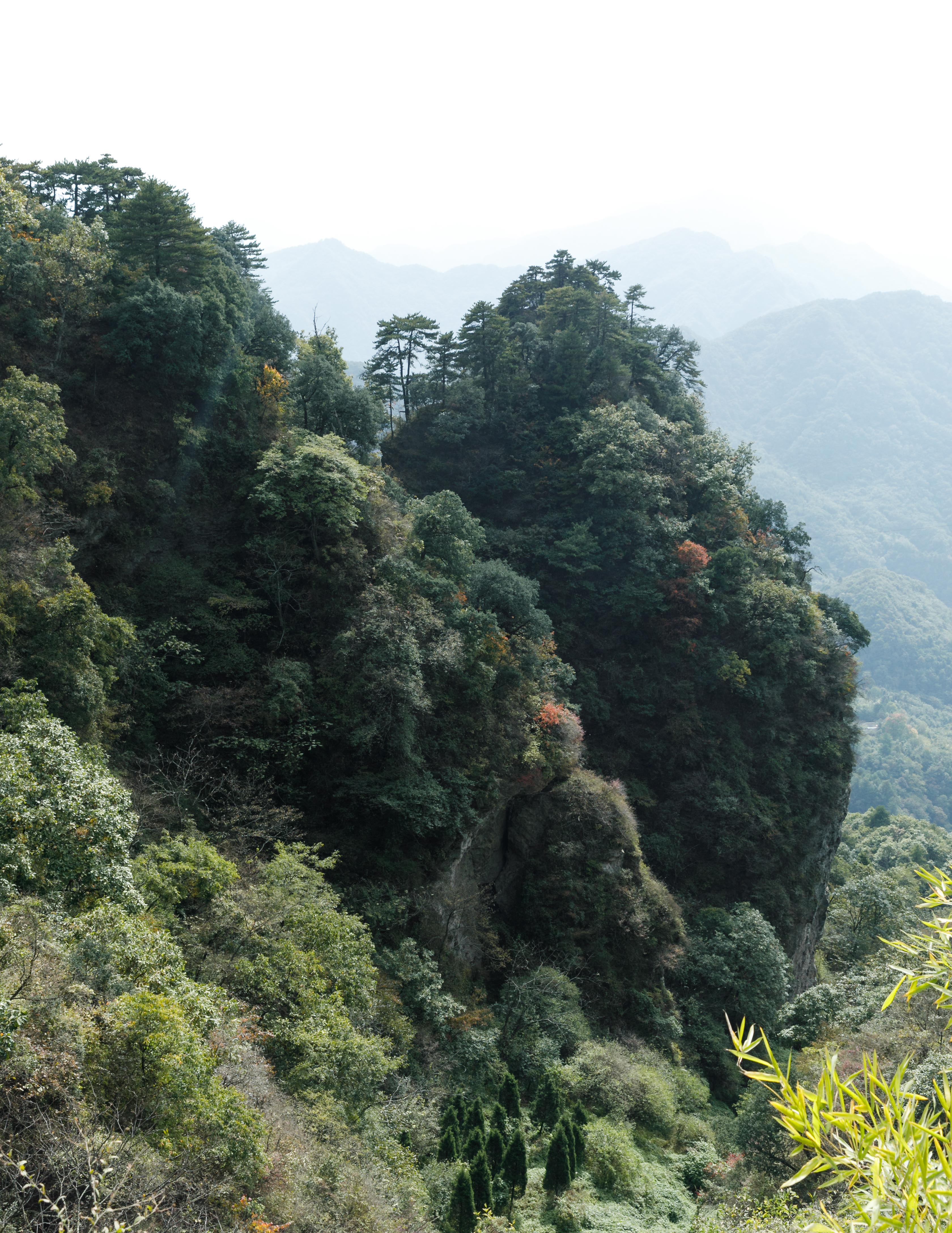 Why Your Herbs May Look Different Each Batch - And Why It’s Actually a Good Sign