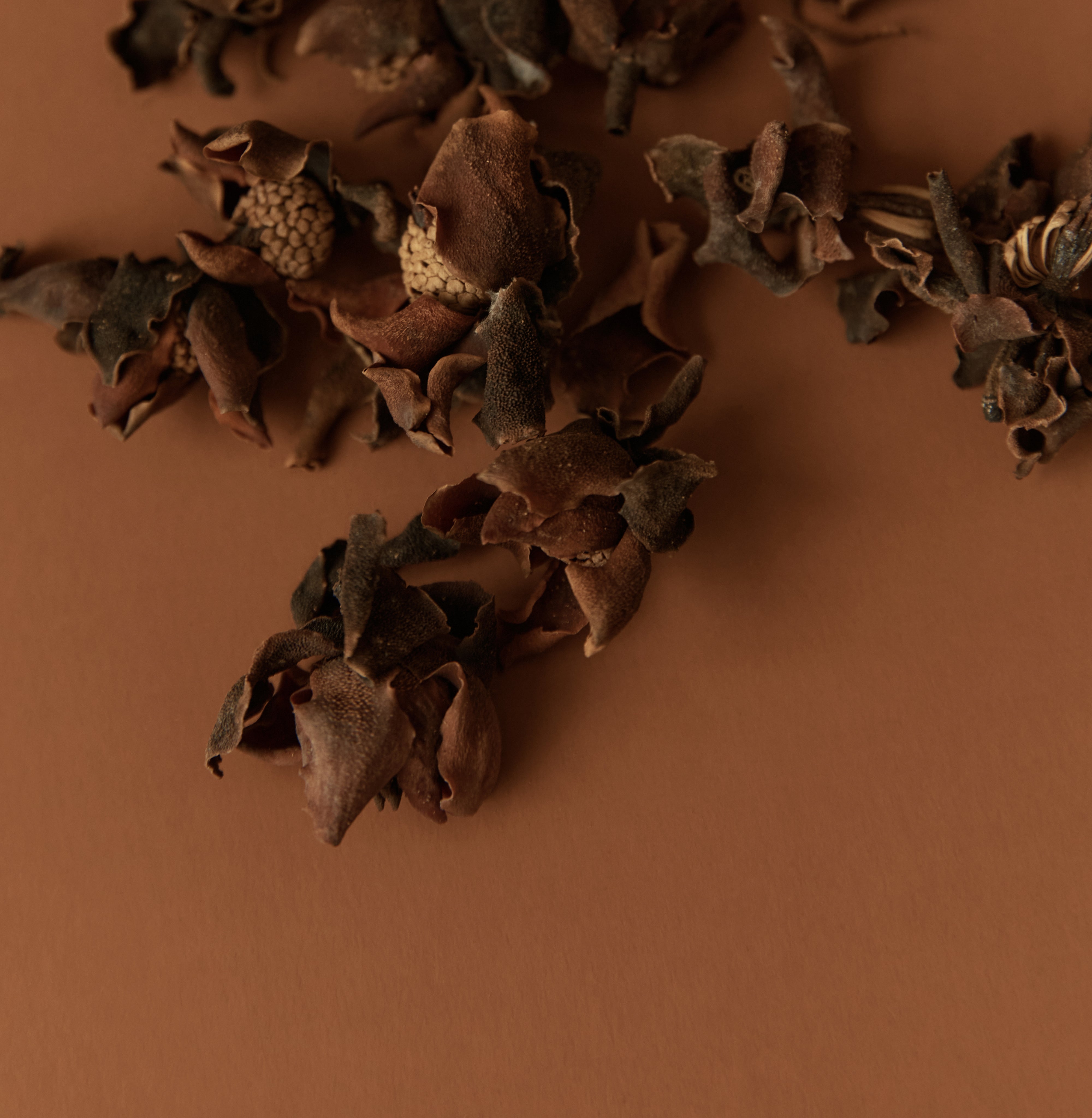 Autumn Herbs