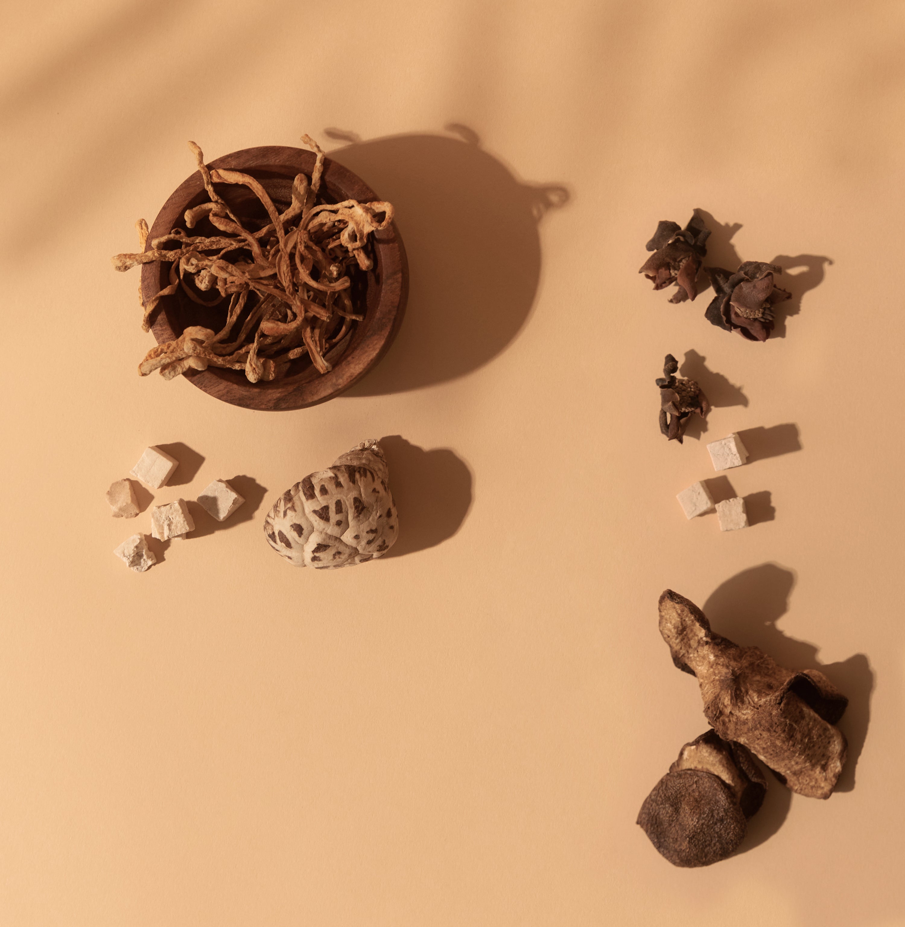 Supportive Herbs for Postpartum