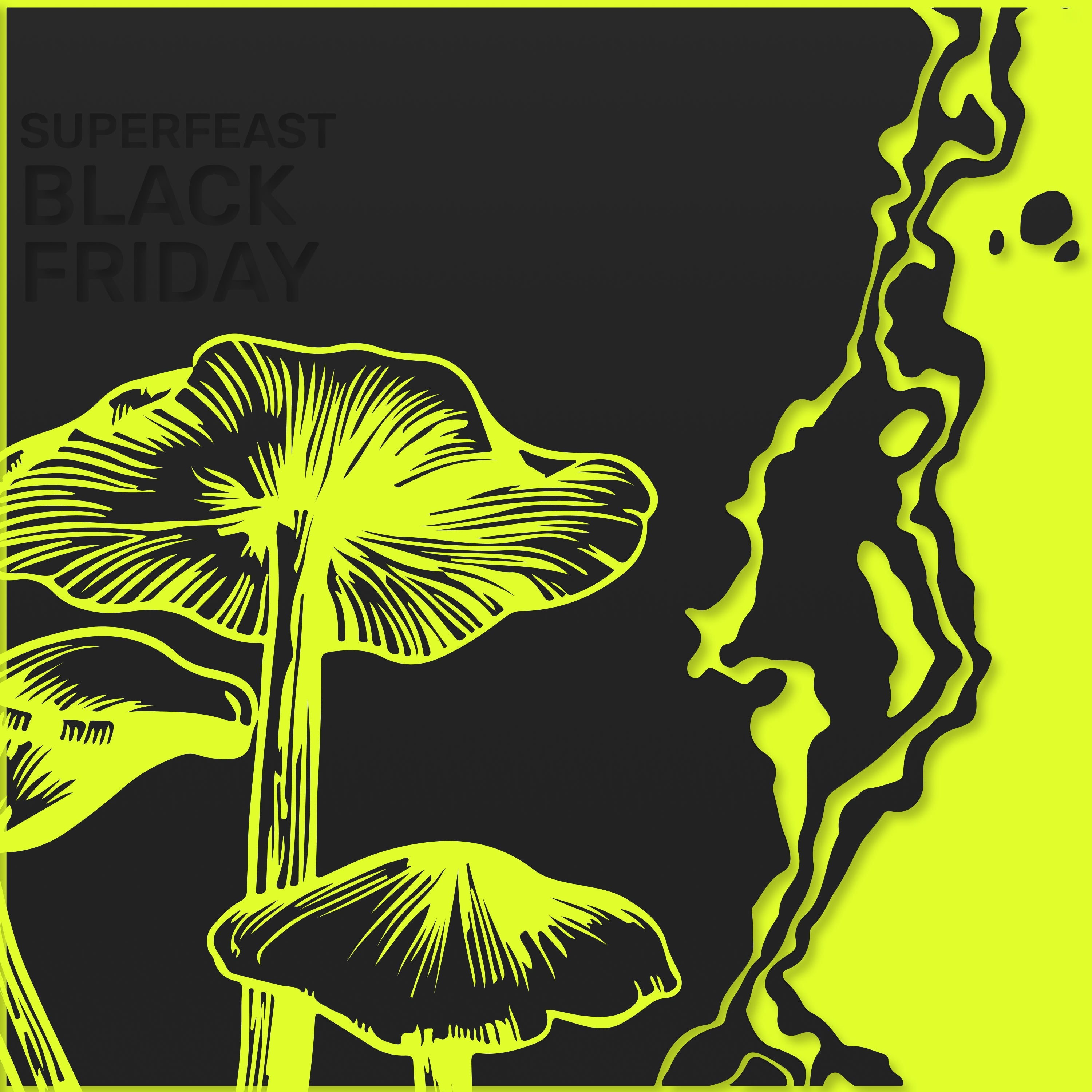 Black Friday Sale | Up to 30% off