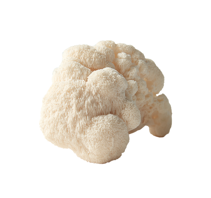 Ingredient Image