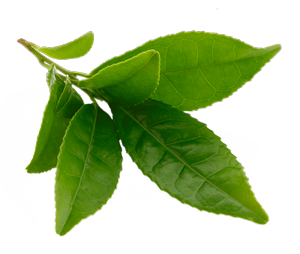 Ingredient Image