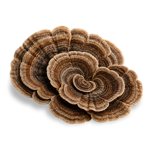 Ingredient Image
