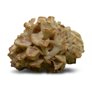 Ingredient Image