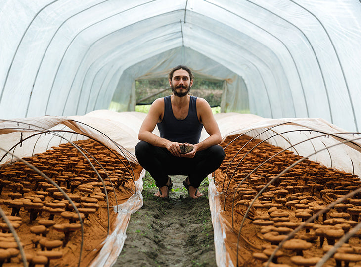 Mason at a reishi farm